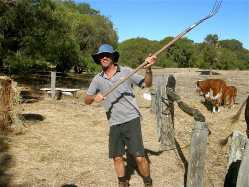 On The Farm